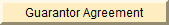 pdf file
